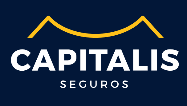 CAPITALIS-LOGO-VETOR.ai (2) (1)